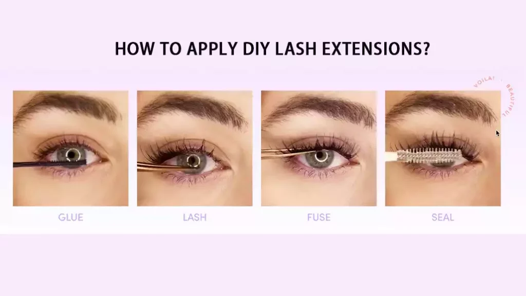 lash extension application