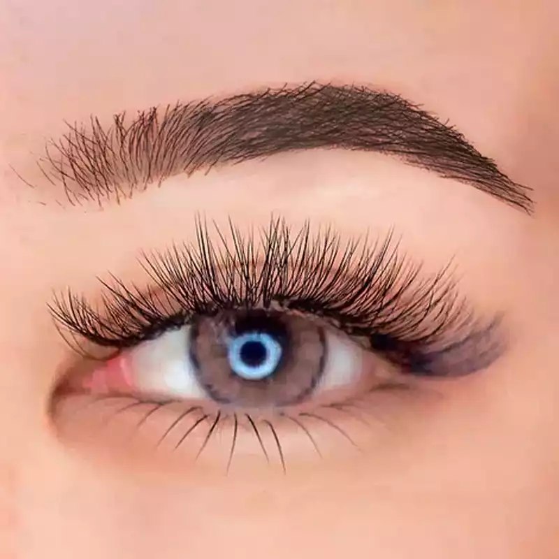 lash extension spikes