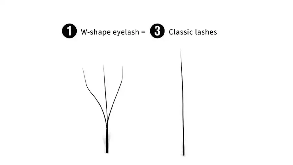 w lashes vs classic lashes