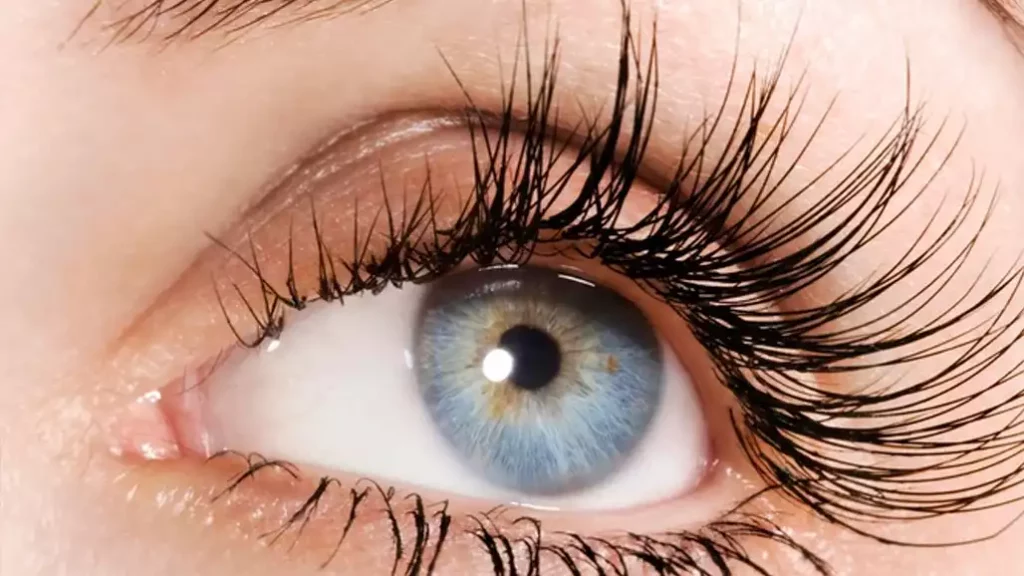 beautiful cat eye lash extensions