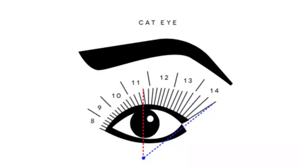 cat eyelash extension map