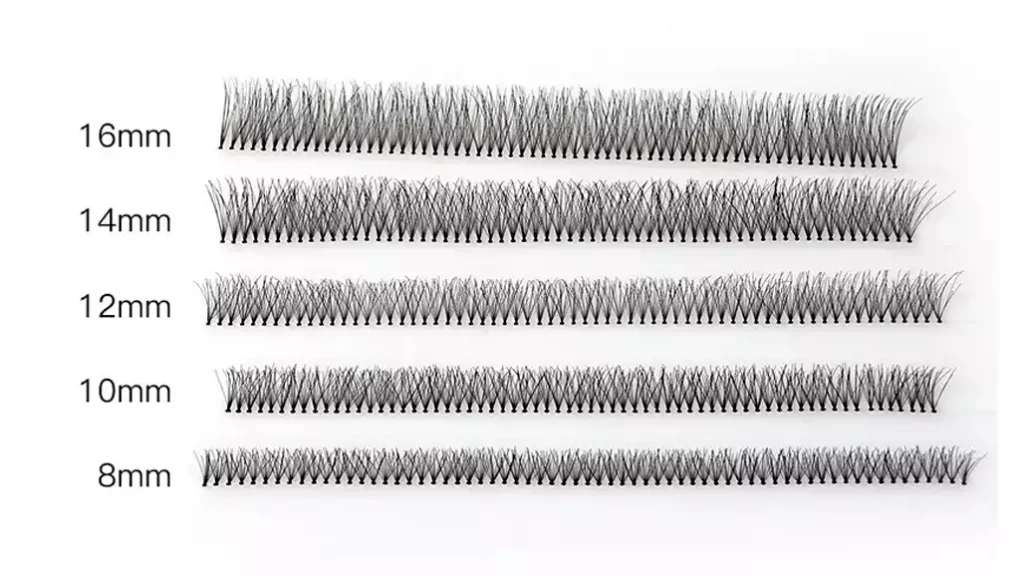 lash ribbon lengths