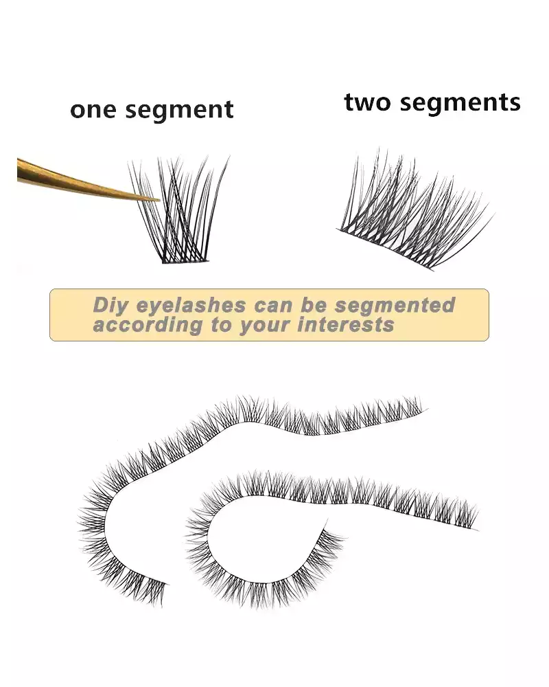 lash-segments