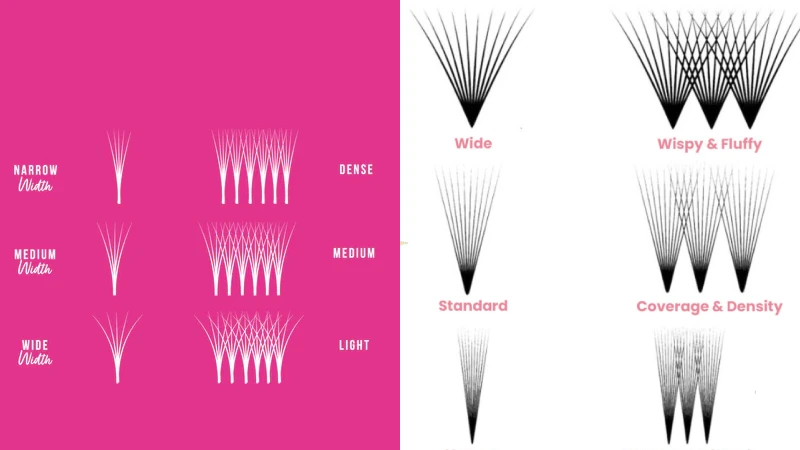 Lashes (Density)