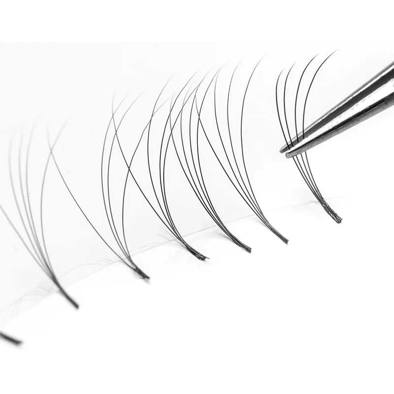 What is a Lash Fan