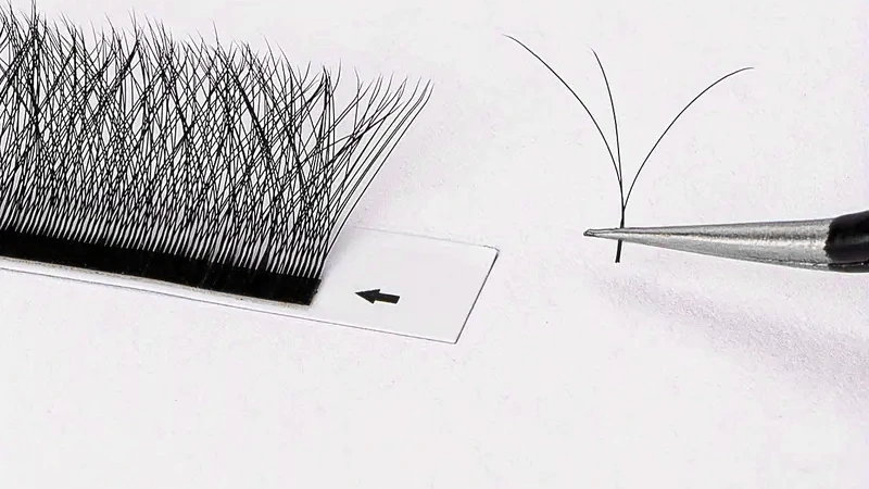 how to make lash fans
