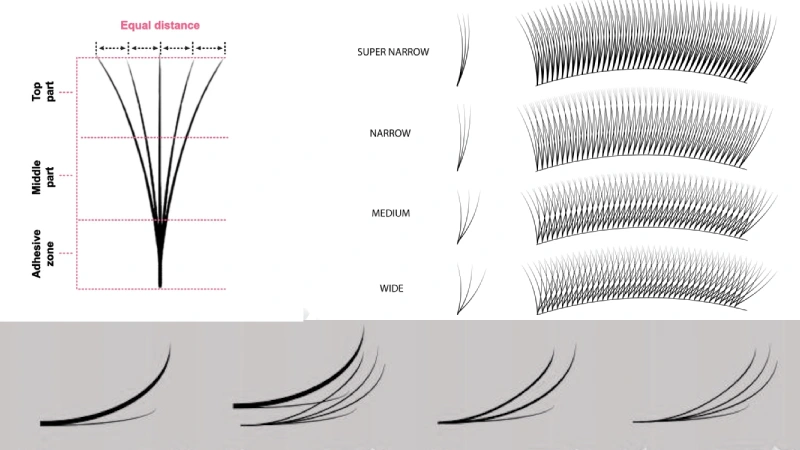 lash fan types and styles