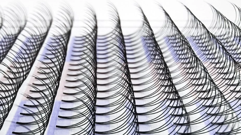 what is a lash fan (1)