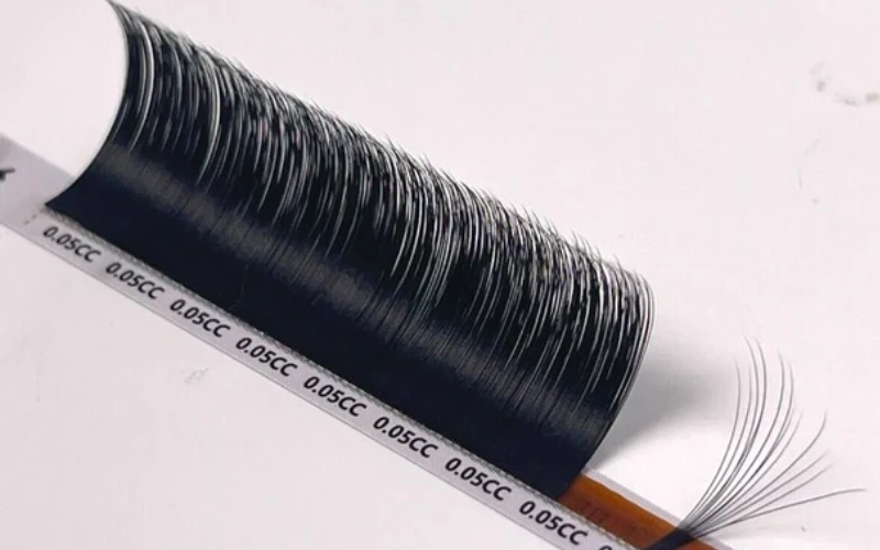 Cc Lashes