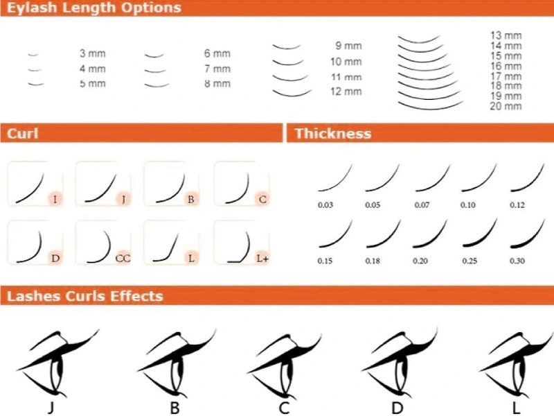 Lash Curl Types (1)