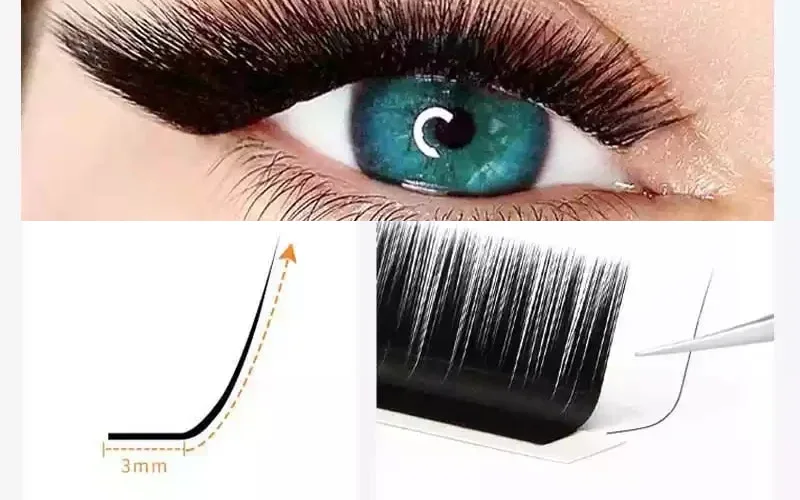 What Are L Curl Lashes