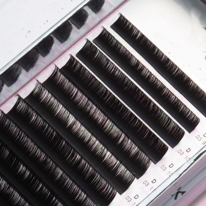 classic d curl lashes
